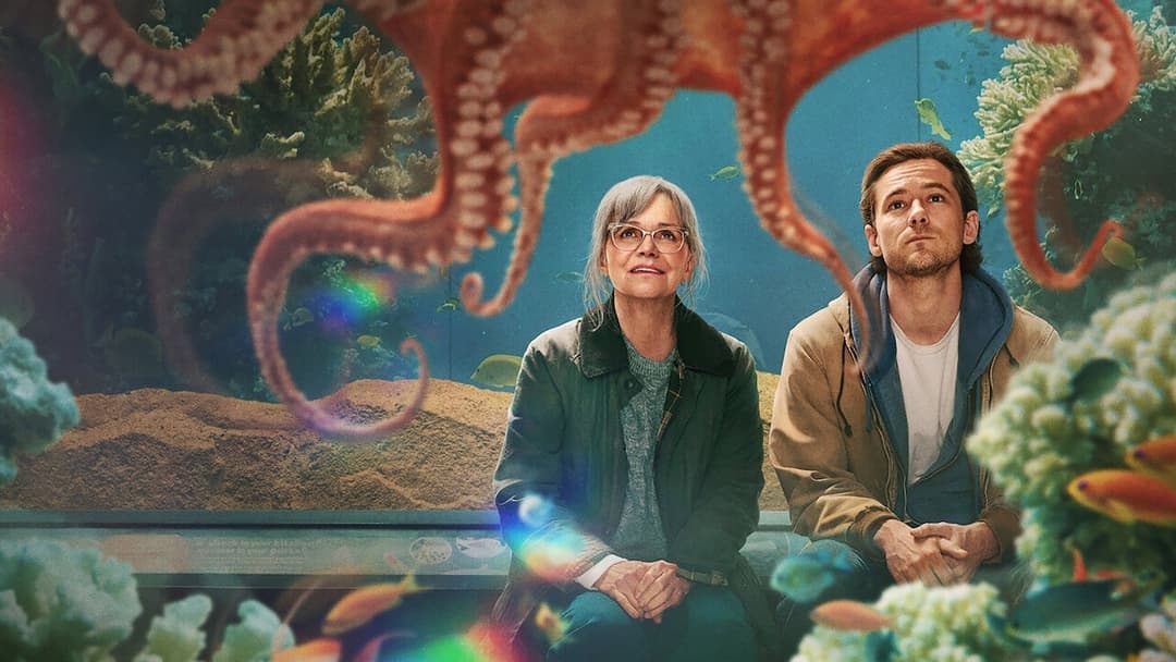 poster image